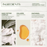 LASHFOOD PRIME AND DEFINE DUO (PRE ORDER)